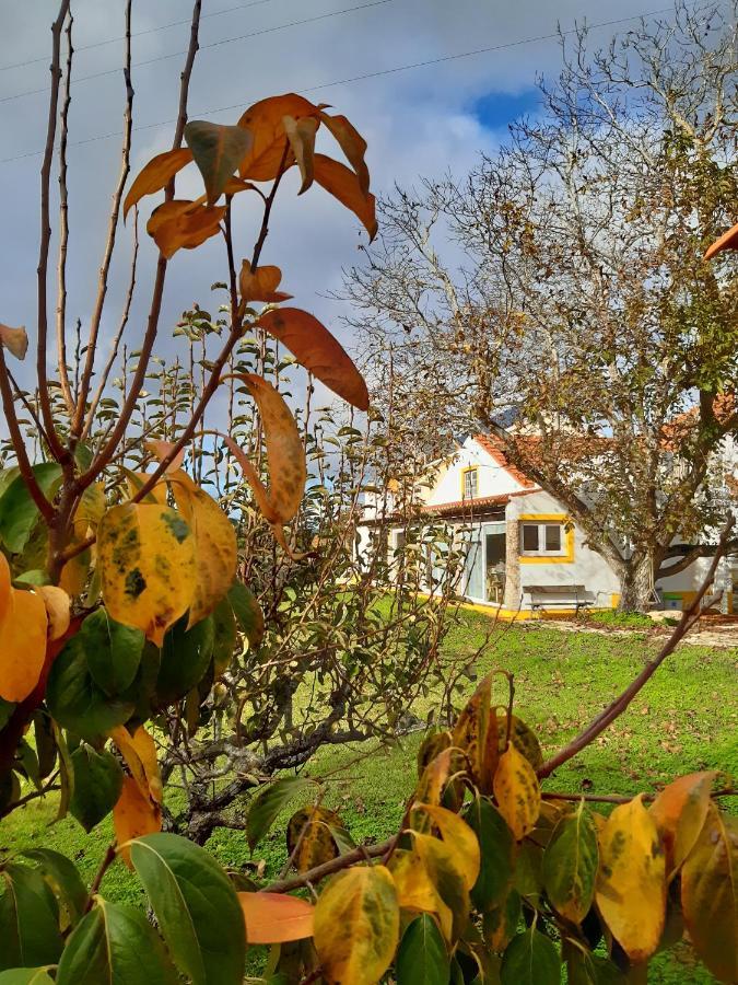 Quintal Do Freixo - Country House Sobral de Monte Agraço Екстериор снимка