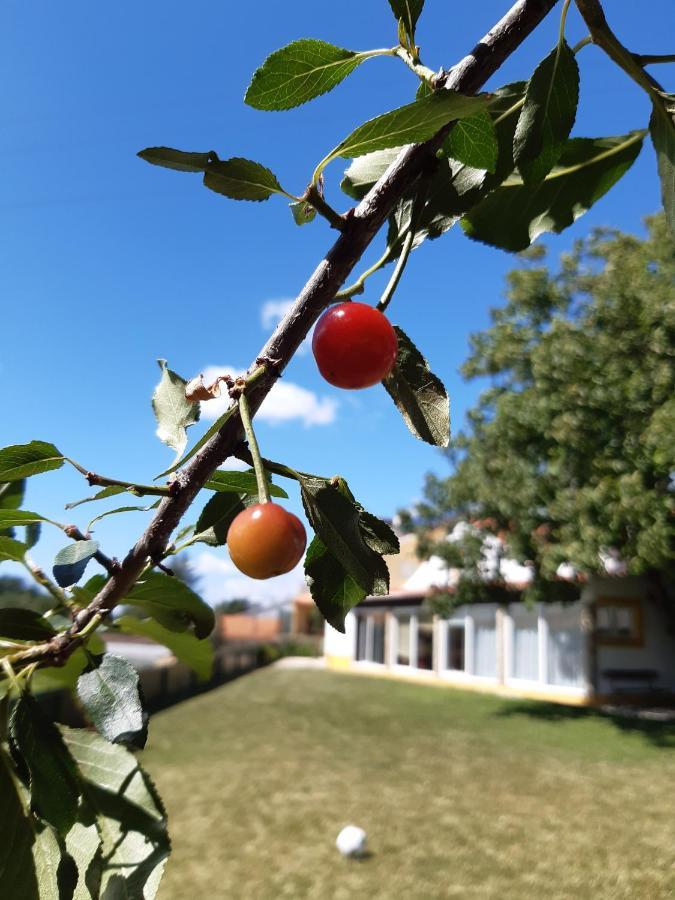 Quintal Do Freixo - Country House Sobral de Monte Agraço Екстериор снимка