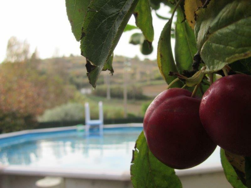 Quintal Do Freixo - Country House Sobral de Monte Agraço Екстериор снимка